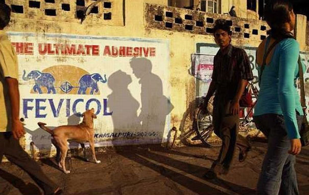 perfectly-timed-photos-88.jpg