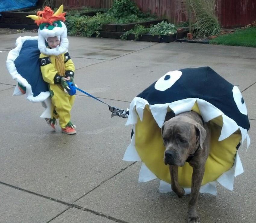 pet-costume-7.jpg