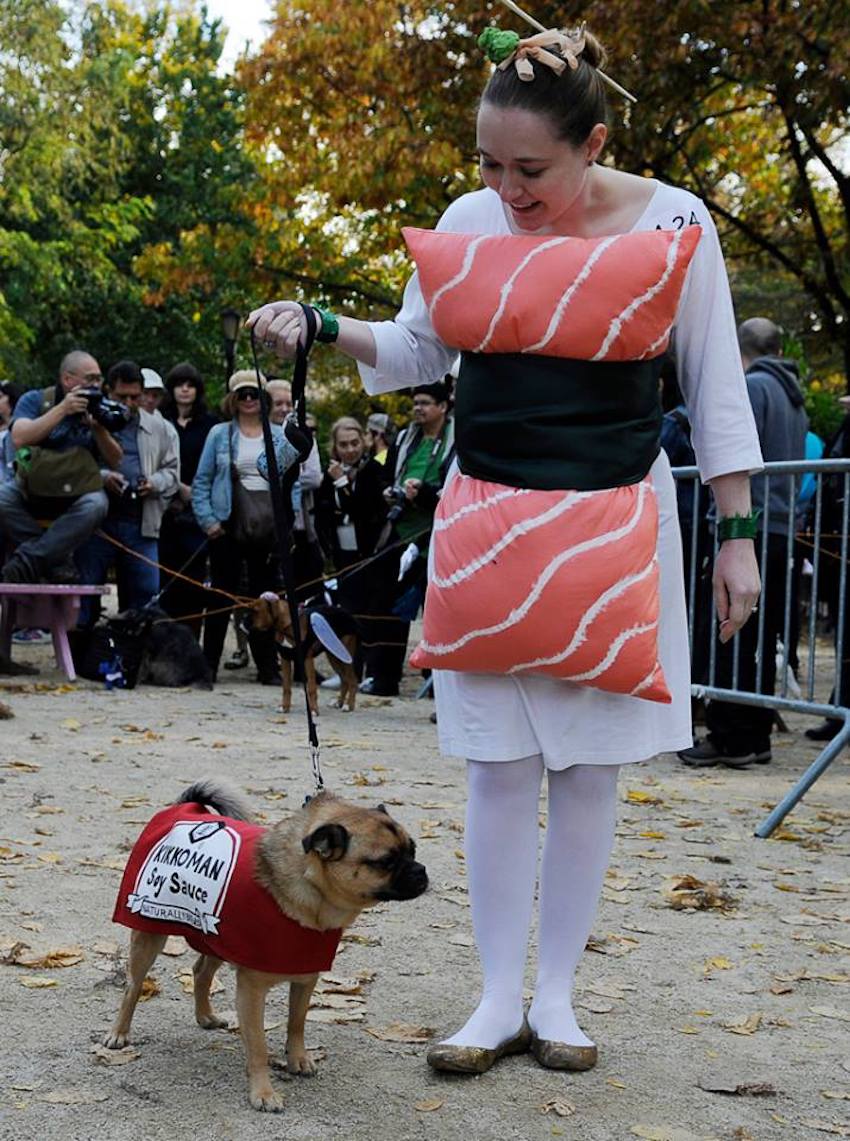 pet-costume3.jpg