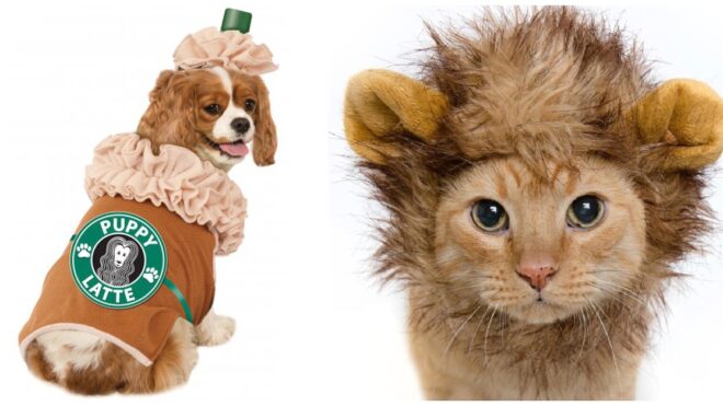 pet-costumes