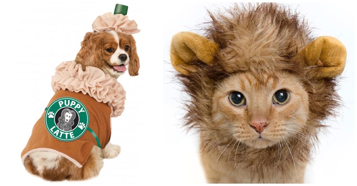 pet-costumes