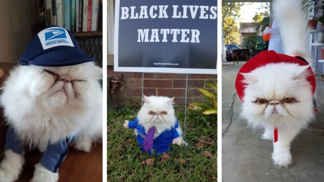 pet-halloween-costumes