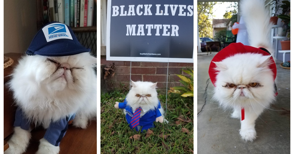 pet-halloween-costumes