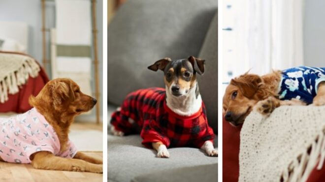 pet-pajamas