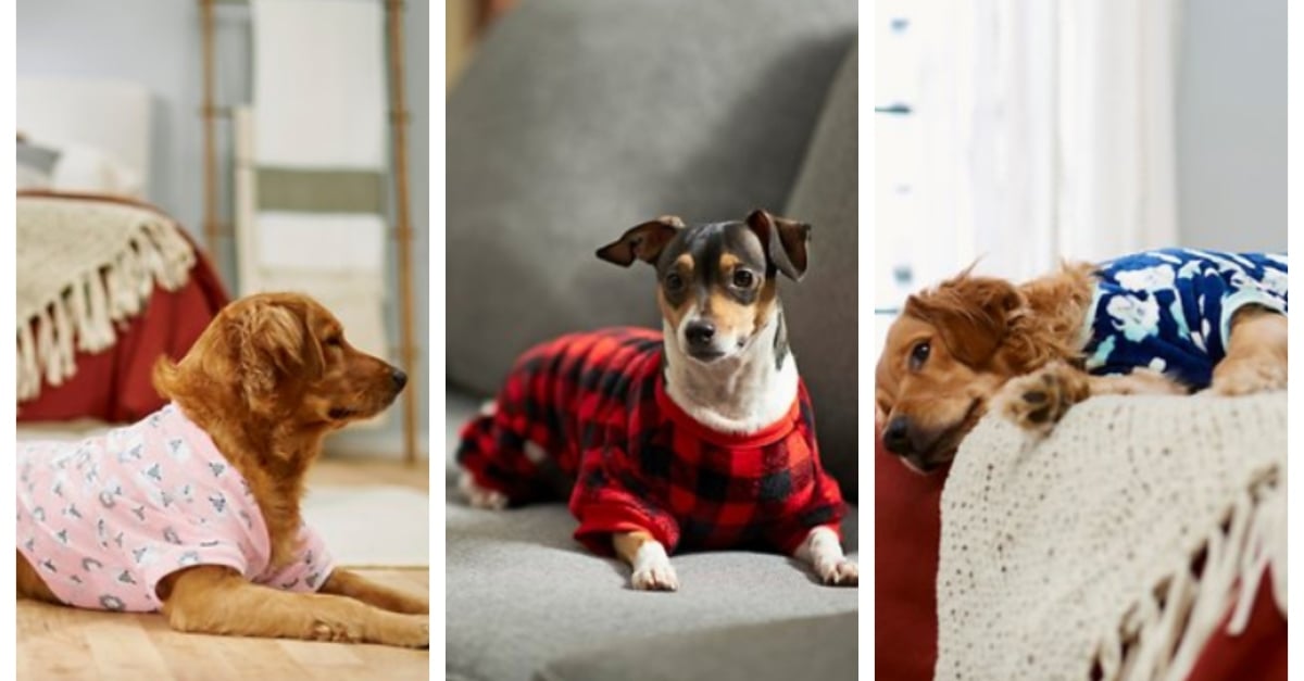 pet-pajamas