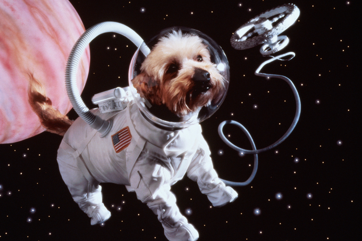 pet-remains-space.jpg