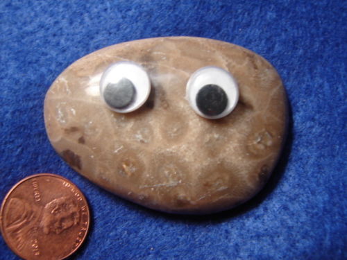 pet-rock-ebay.jpg