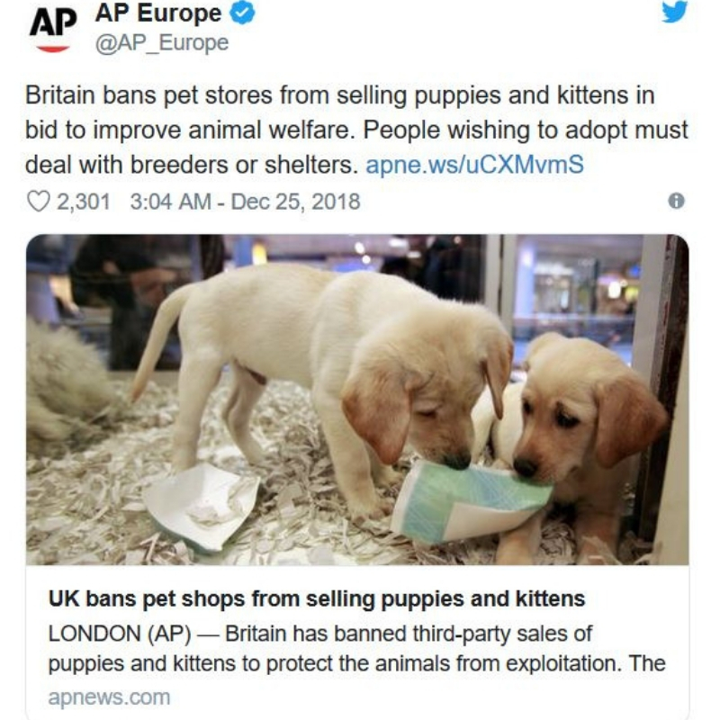 pet-stores2.jpg