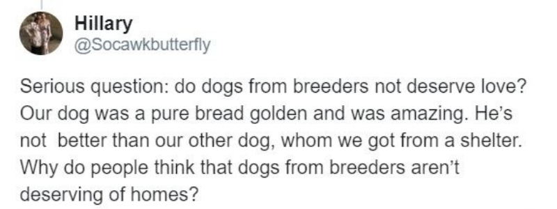 pet-stores3.jpg