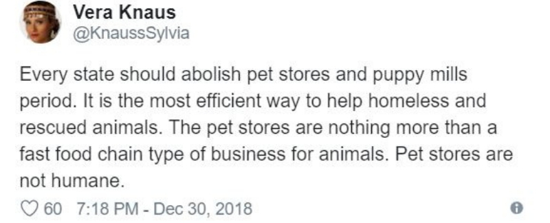pet-stores4.jpg