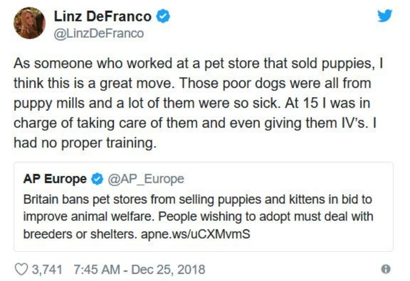 pet-stores6.jpg
