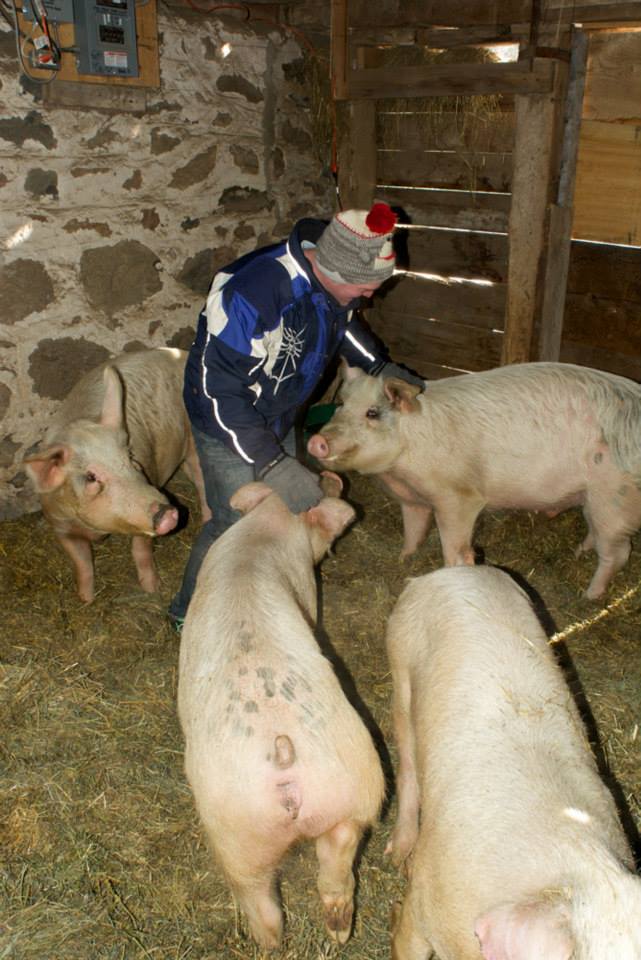 piggies-1.jpg