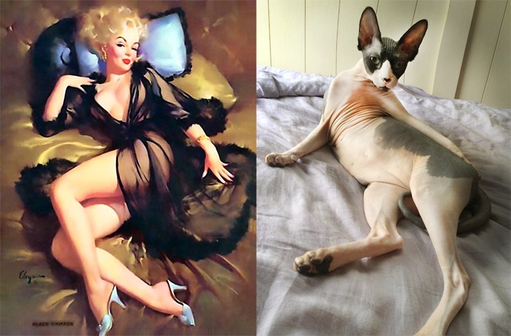 pinups-1-1.jpg