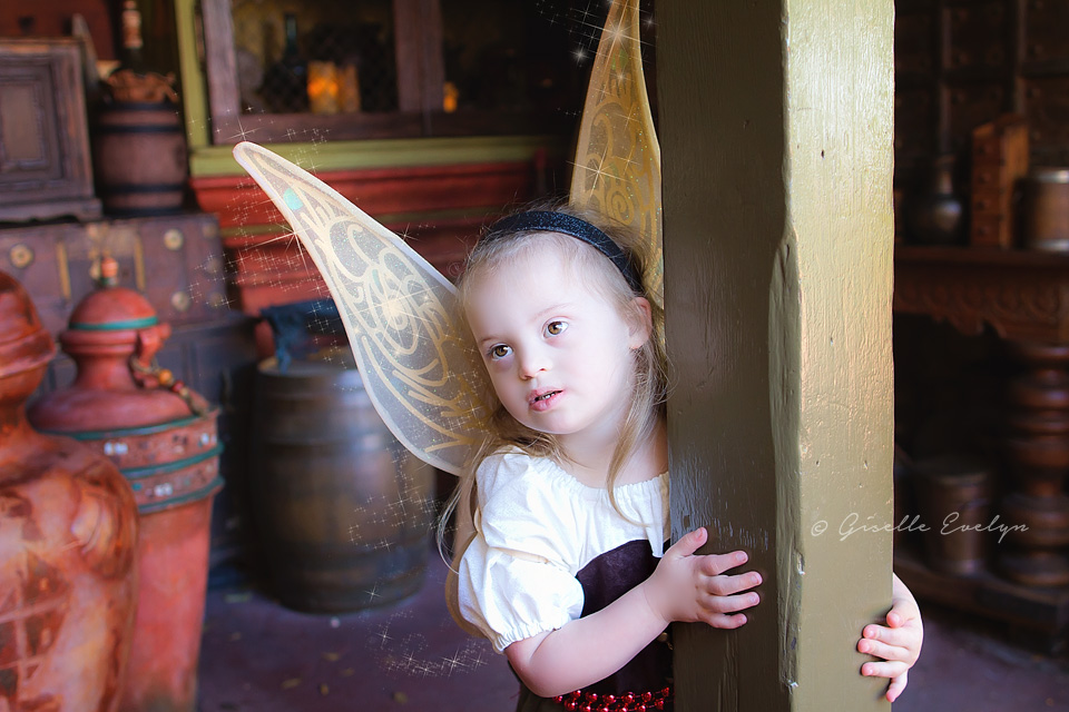 pirate-fairy.jpg