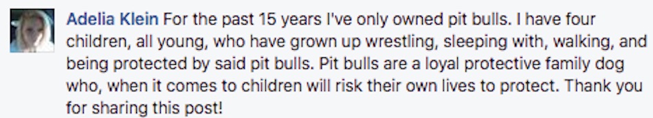 pit-bull-7.jpg