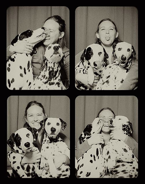 pit-bulls-photo-booth-cute-dogs-lynn-terry-5.jpg