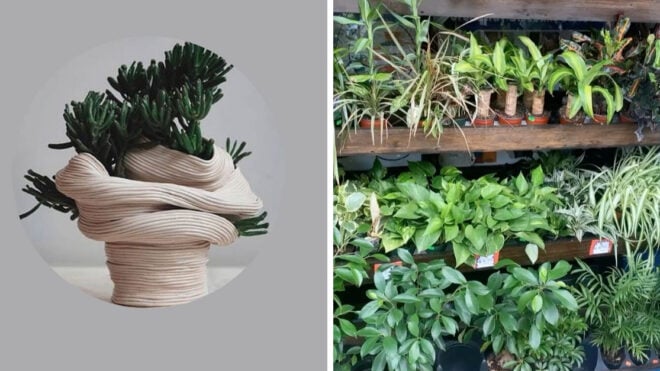 plant-subscription-service