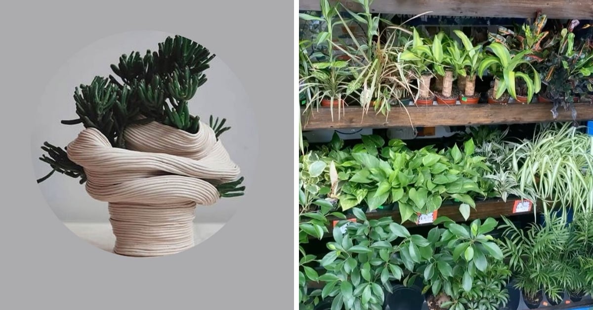 plant-subscription-service