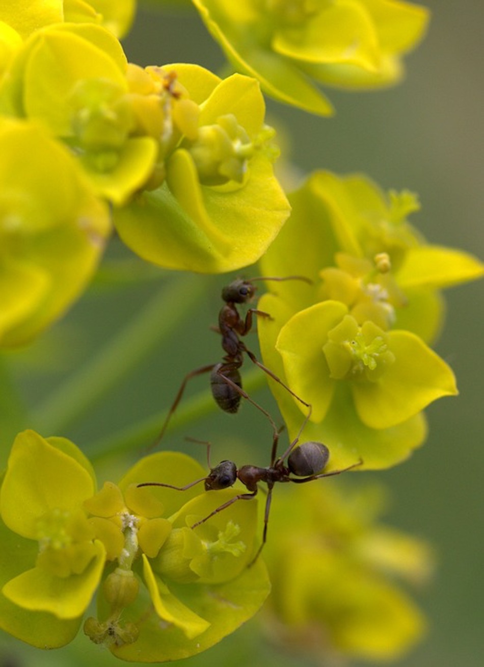 plants-2.jpg