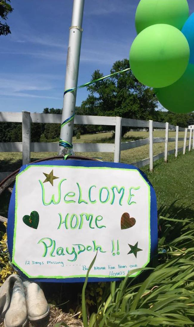 playdohhorse_n.jpg