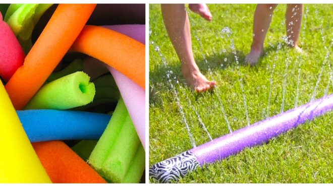 pool noodles