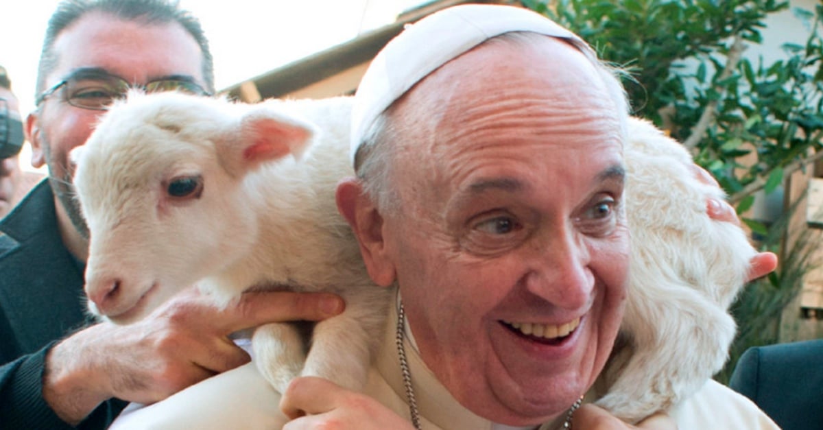 pope2.jpg