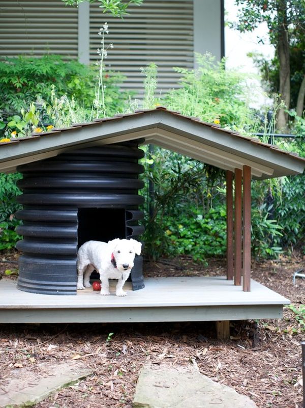 poppy-white-dog-house.jpg