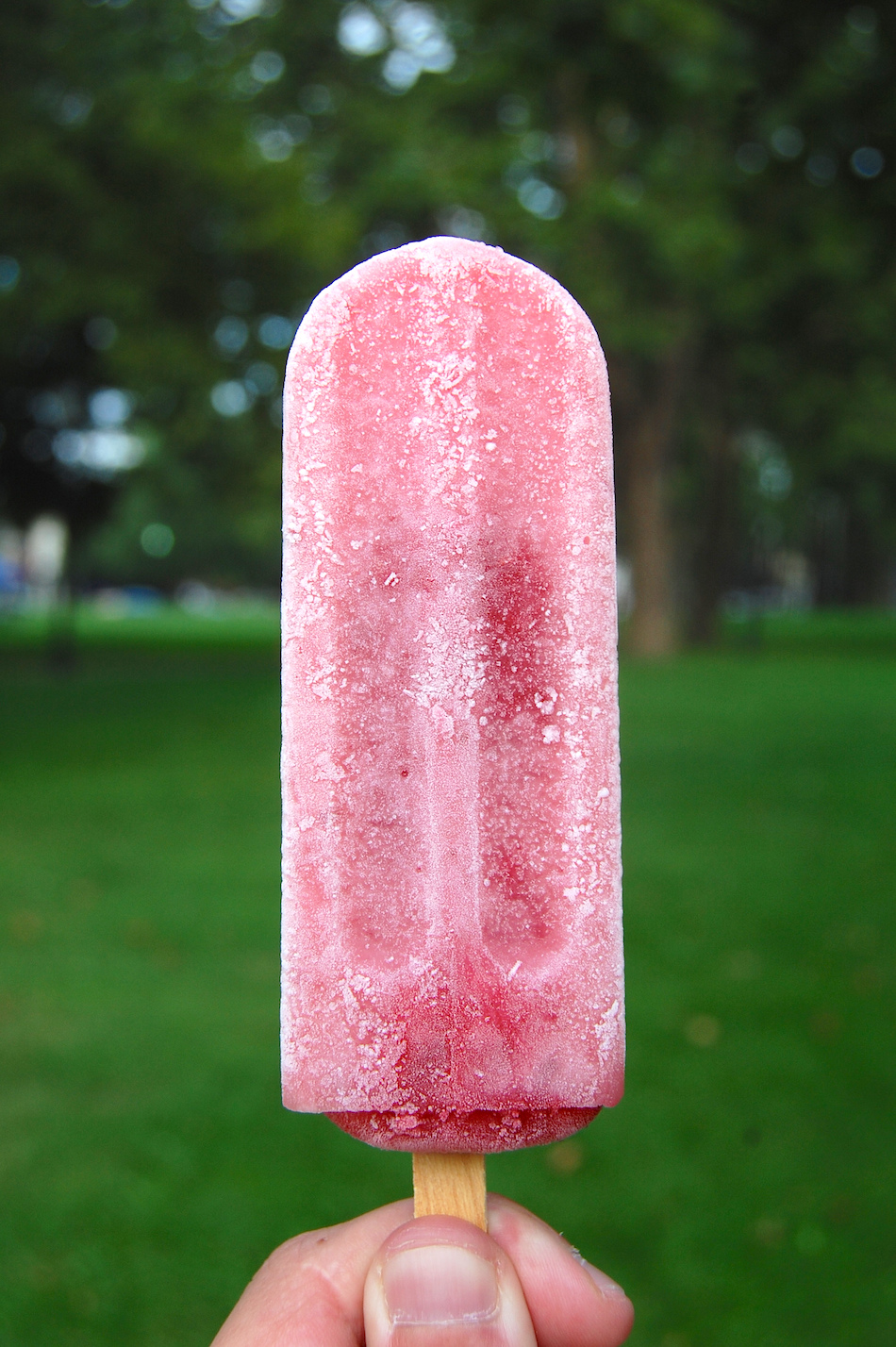 popsicle.jpg