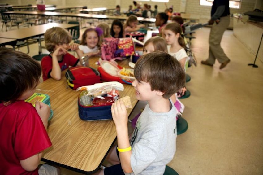 primary-school-taking-their-daily-lunch-break-during-their-school-day-activities-725x482-1.jpg