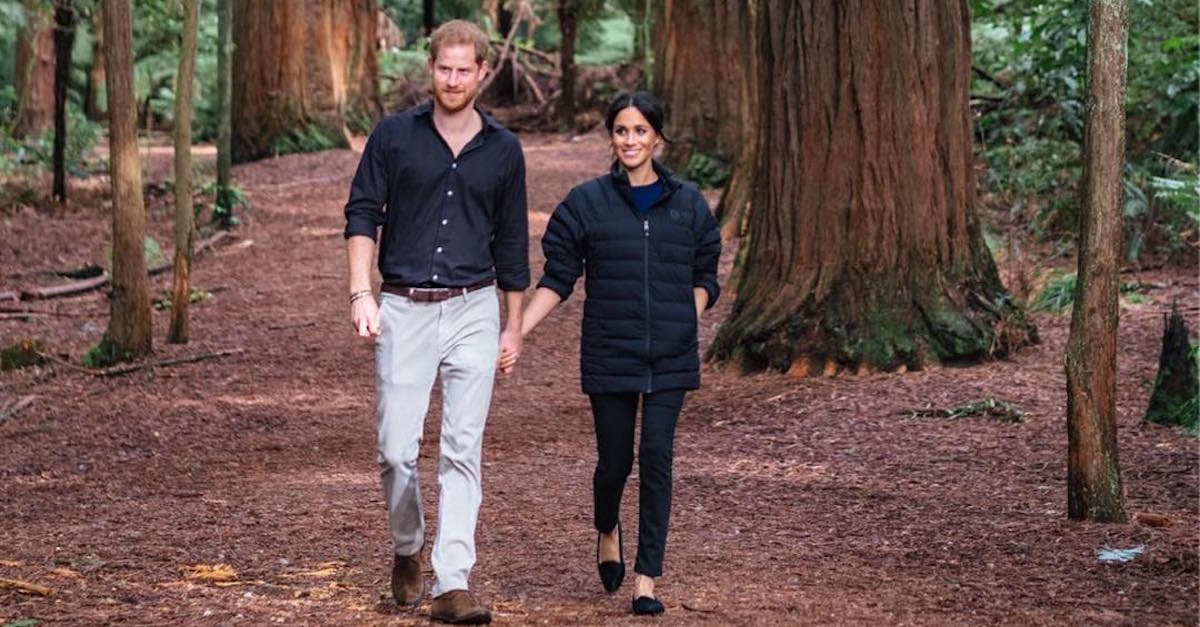 prince-harry-meditation