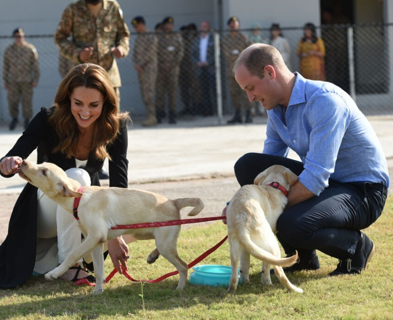 prince-william-5-1.jpg
