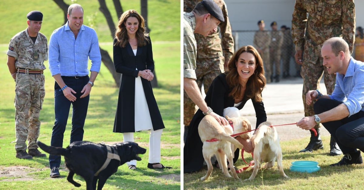 prince-william(1)