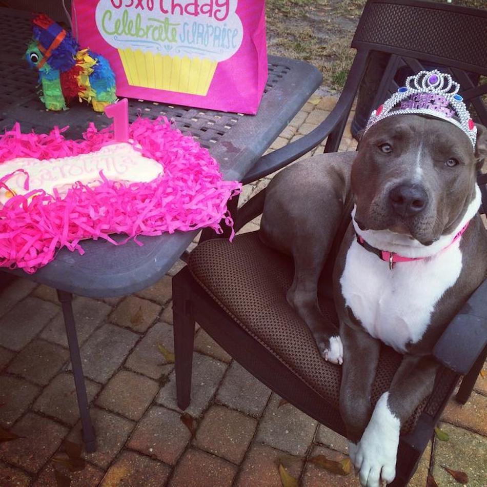 princess-1-1.jpg