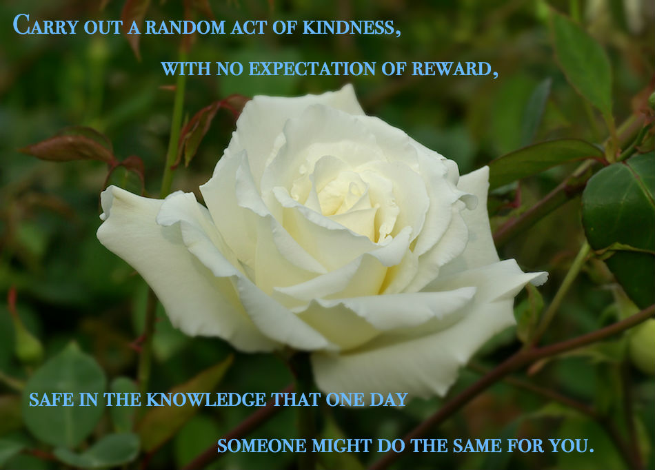 princess-di-acts-of-kindness.jpg