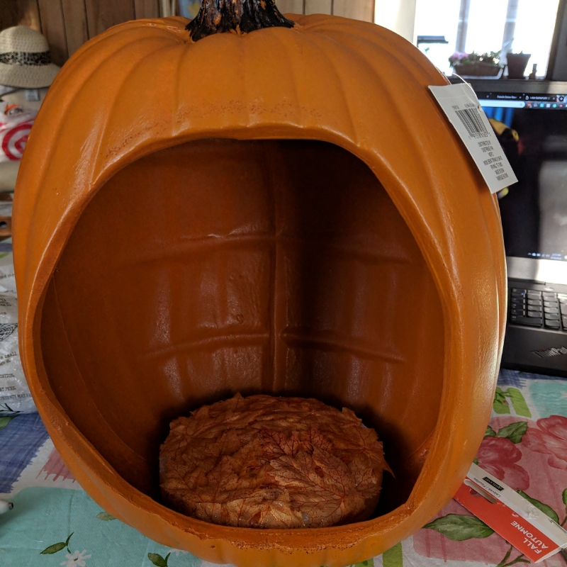 pumpkin3.jpg