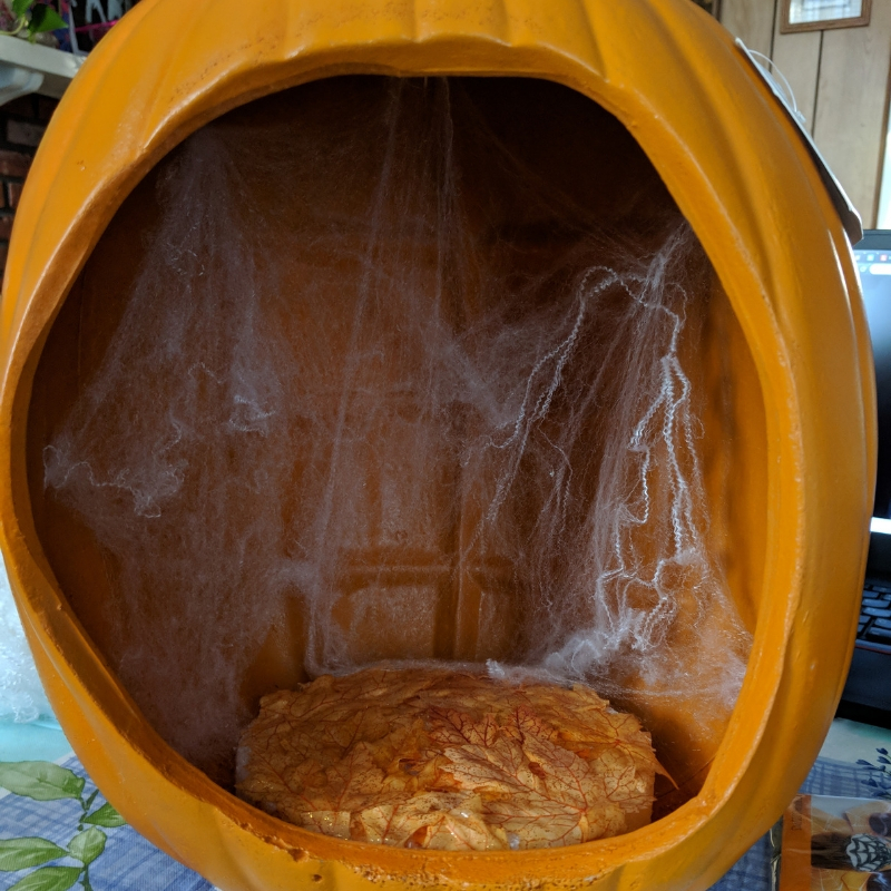 pumpkin4.jpg