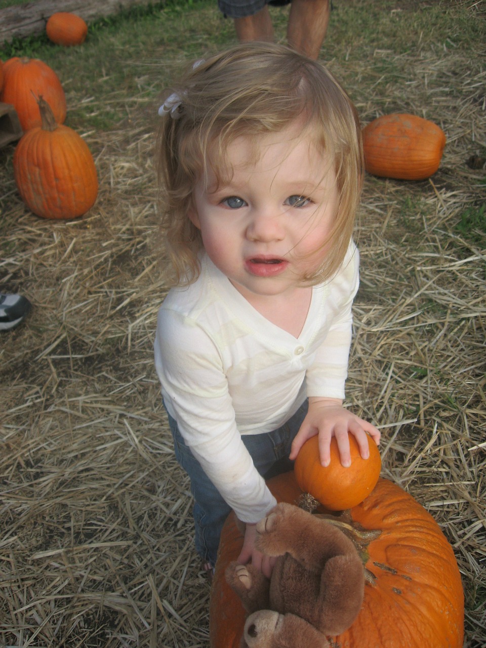 pumpkins-101117_1280.jpg