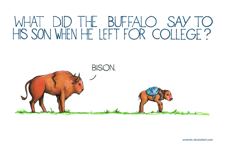 pun-7.png