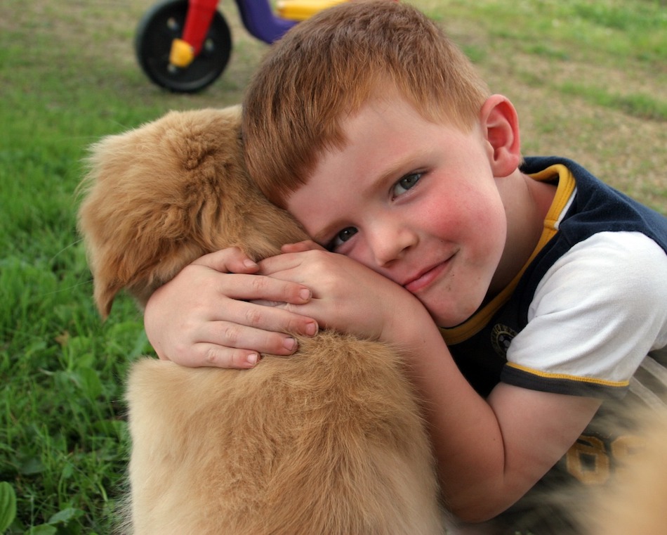 puppy-2197314_1280.jpg
