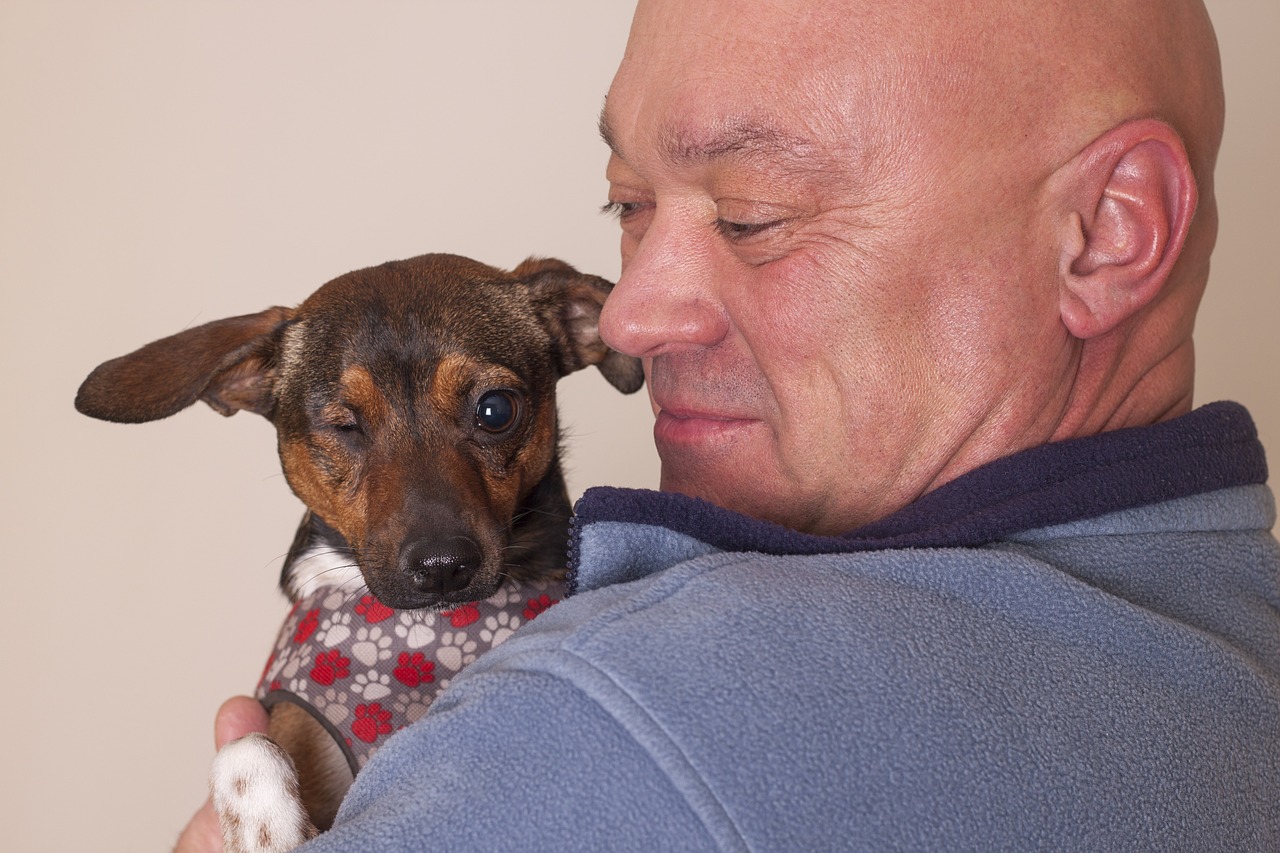 puppy-696249_1280.jpg