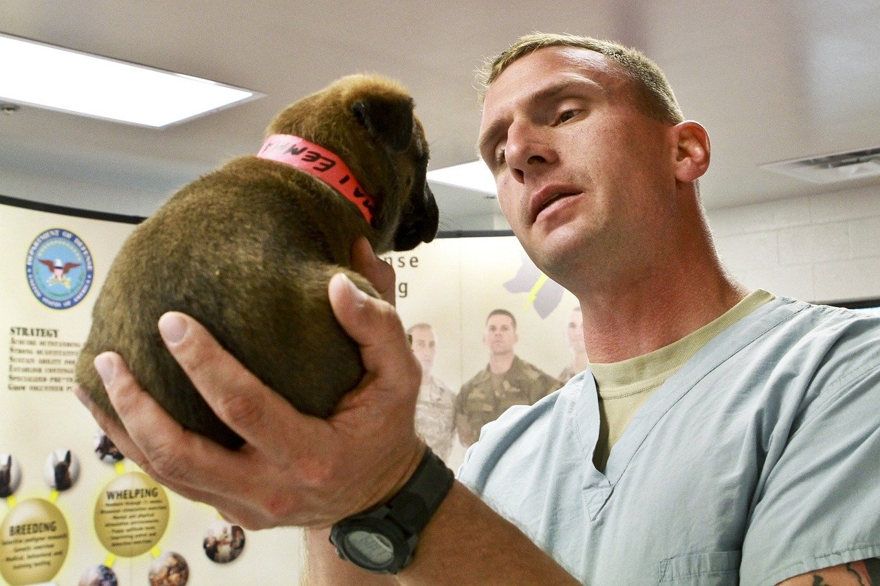 puppy-919213_1280.jpg
