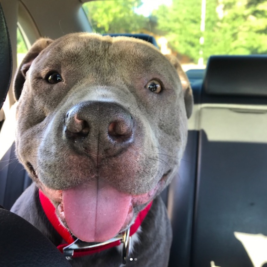 puppy-dog-eyes6.jpg