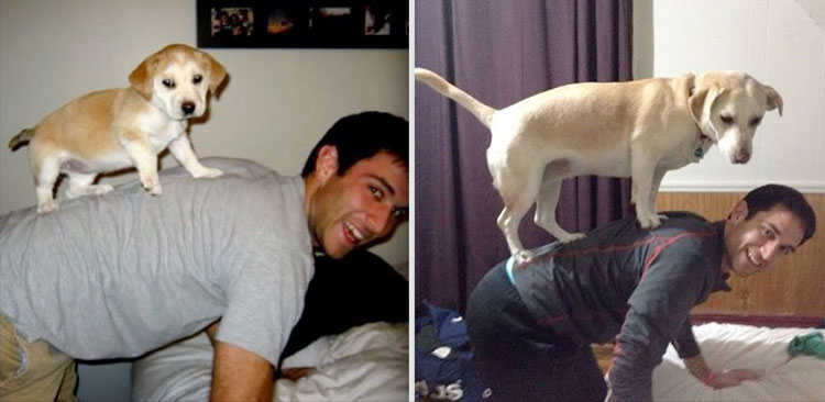 puppy-on-owners-back.jpg