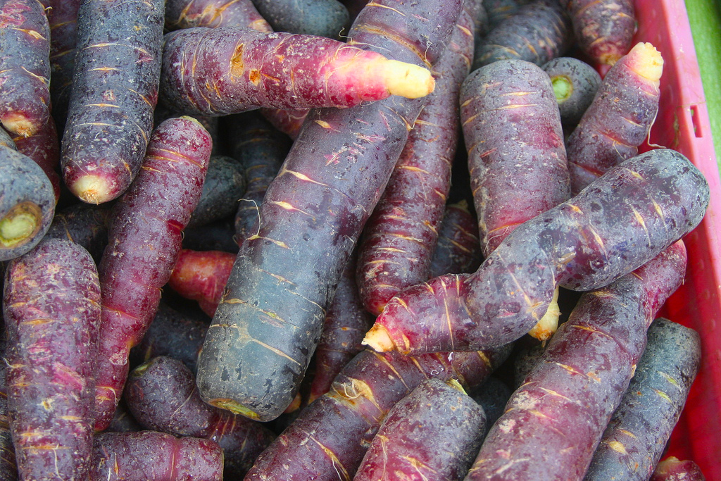 purple-carrots.jpg