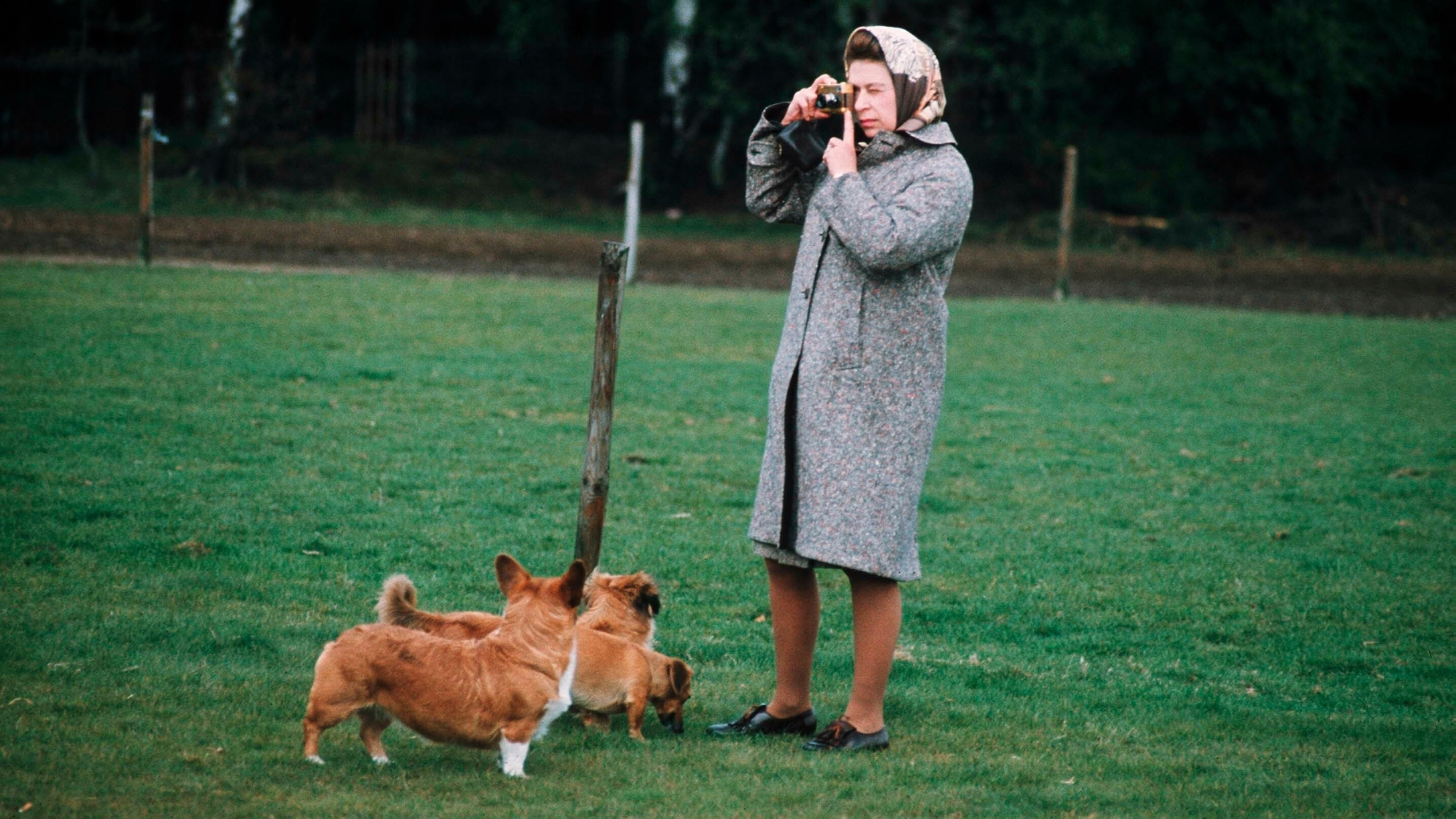 queen-elizabeth-meaningful-corgi-names