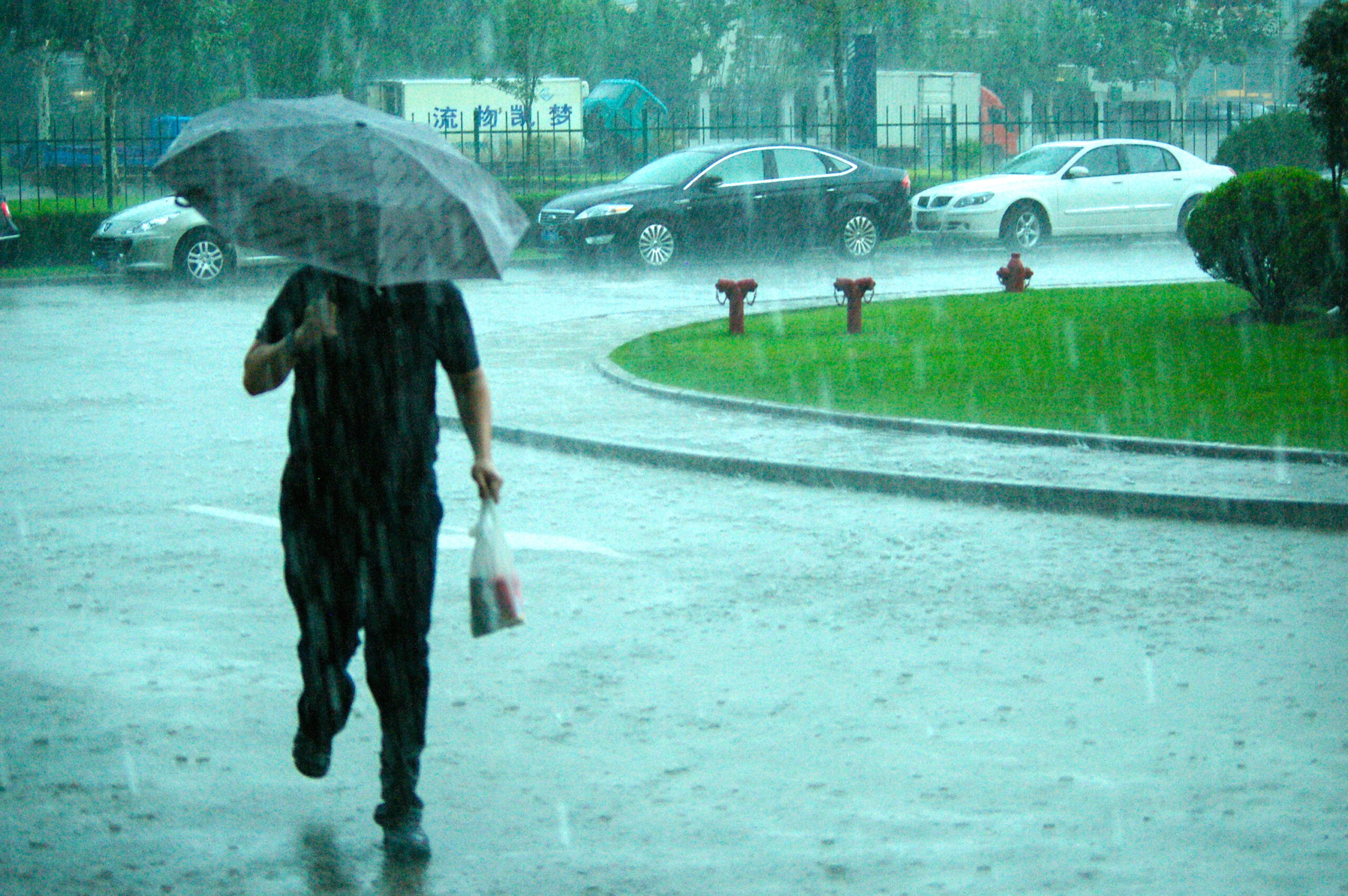 rain-walk.jpg