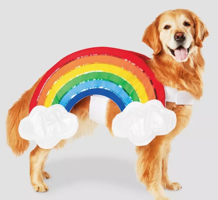 rainbow-dog.jpg