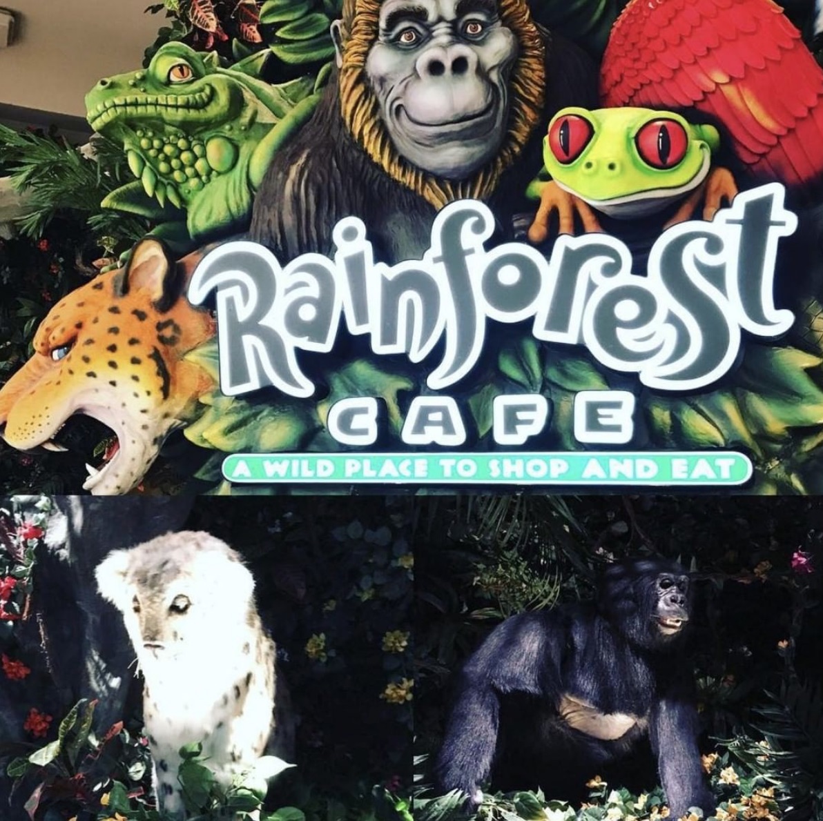 rainforest-cafe.jpg