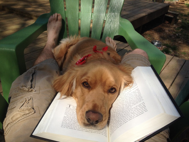 reading-pets4.jpg