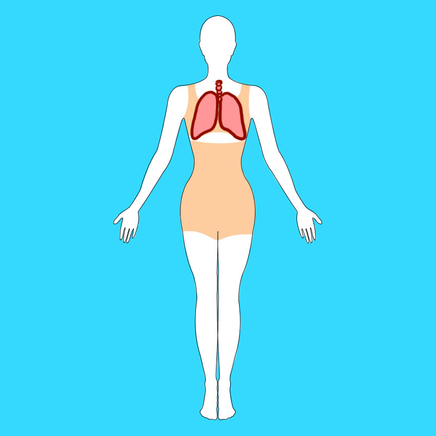 reasonstostopwearingshapewearSECONDEDITION_850px_2.jpg reasonstostopwearingshapewearSECONDEDITION_850px_2.jpg